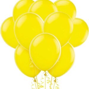 Latex Balloons - 10 Inch, Helium Quality Latex Balloons for Theme Birthday