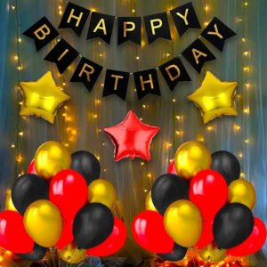 Happy Birthday Decoration Kit Combo With Fairy Led Lights...