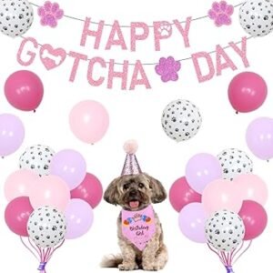 Sursurprise Gotcha Day Decorations Happy Gotcha Day ...
